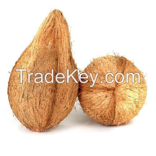 Semi Husked Mature Coconut, Cheap Price and Great Quality Coconut