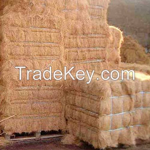 Cheapest price Coconut fiber/ Coconut coir fiber price