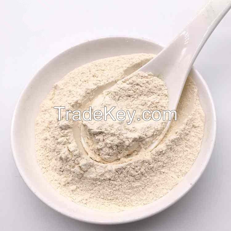 Natural Organic Dehydrated Dried Onion Powder