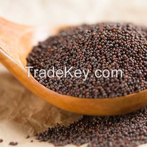 Mustard Seeds, Black White Yellow Mustard Seeds, Brown Mustard Seeds