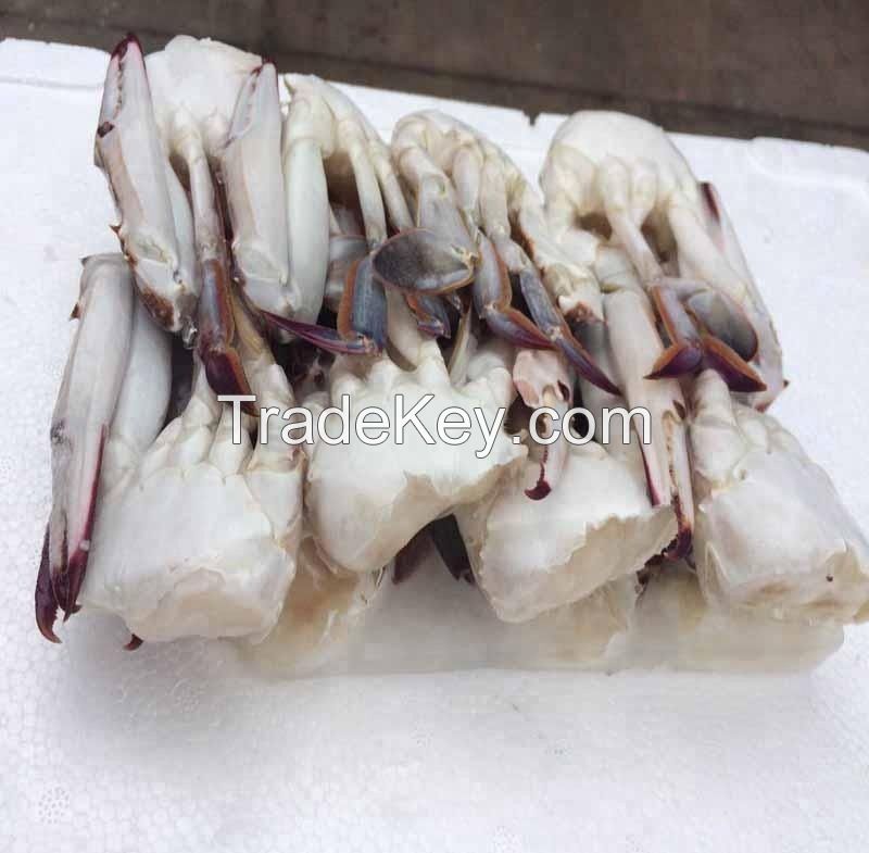Fresh/Frozen/Live Red King Crabs, Soft Shell Crabs, Blue Swimming Crabs & Snow Crabs for Sale