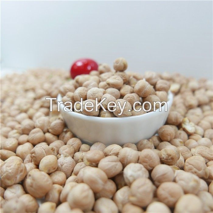 best quality chickpea/chick pea market price HPS