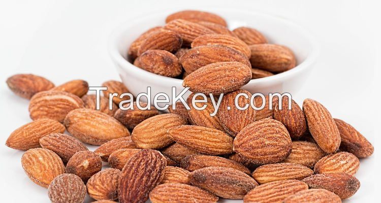 Best Price food grade Organic Apricot Kernel Agriculture Nuts