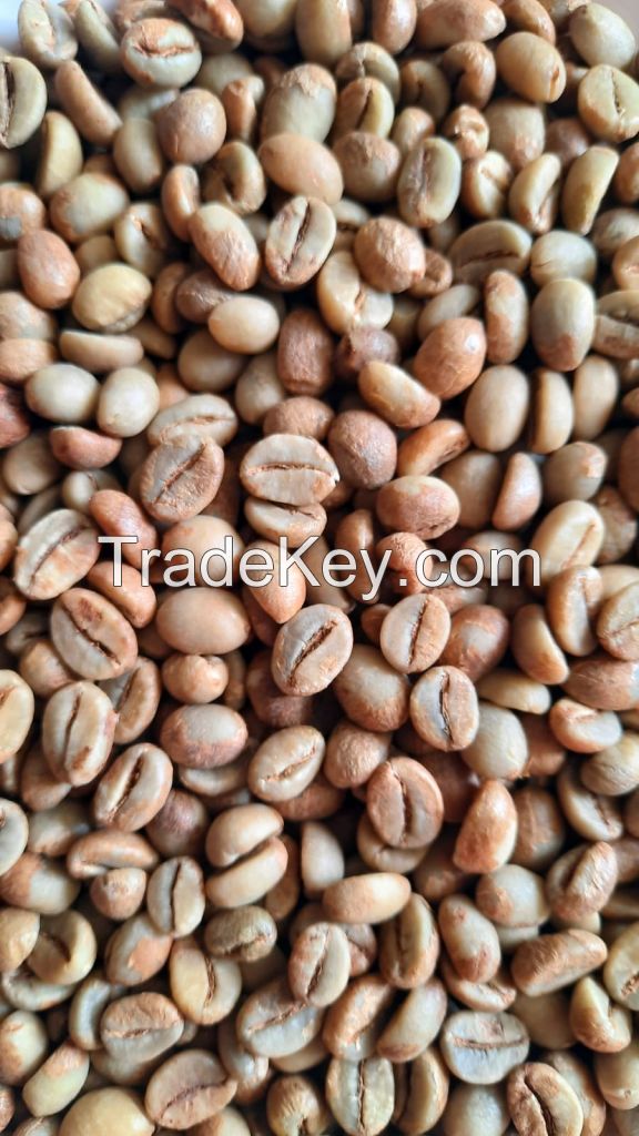 Sell Offer robusta coffee beans