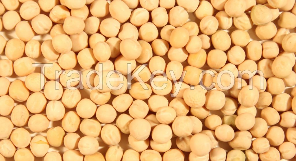 Yellow peas