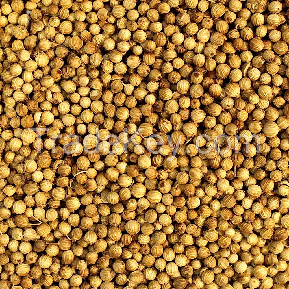 Coriander Seeds