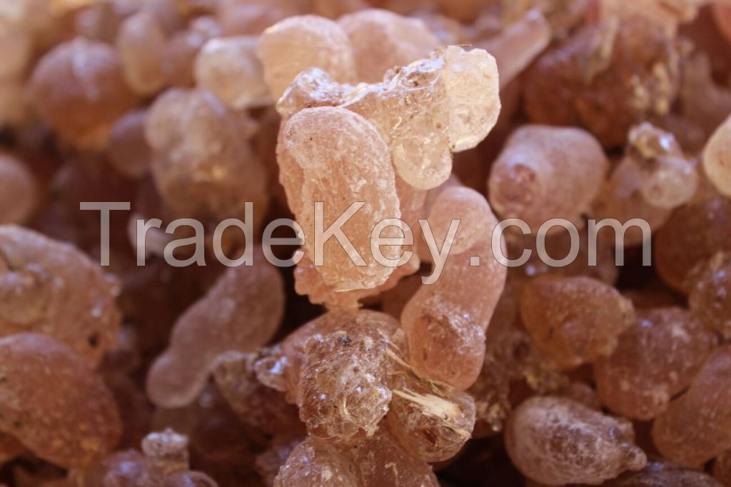 Gum Arabic