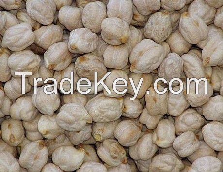 Chickpeas