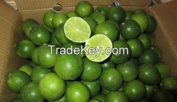 Fresh Lime/Citrus