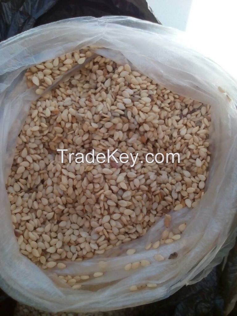 SESAME SEEDS FOR SALE