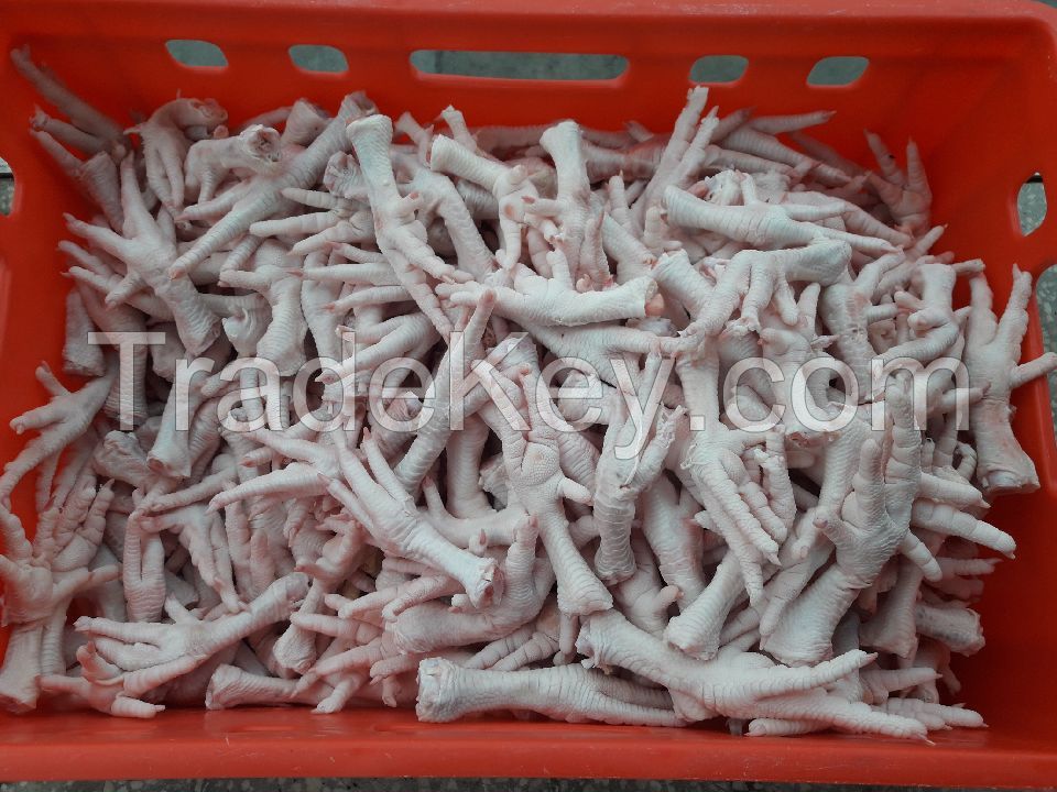 sell High class AA grade Processed Chicken feet Paws.