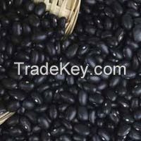 Dried Black Kidney Beans / Black Matpe Beans