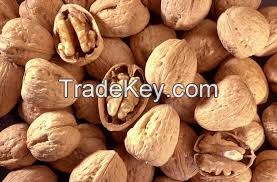 Factory Wholesale high quality Light color walnut kernels light halves