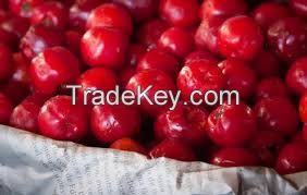 Acerola Powder , Natural Acerola Cherry Extract, West Indian Cherry