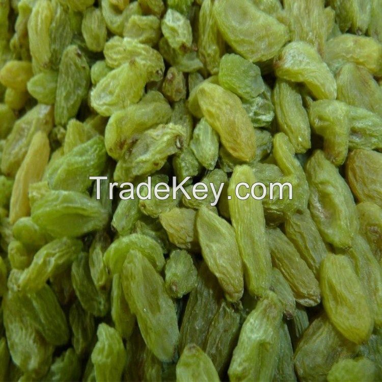 Wholesale Low Prices Bulk Green Sultana Raisin Green Grape Seedless Raisins Supplier