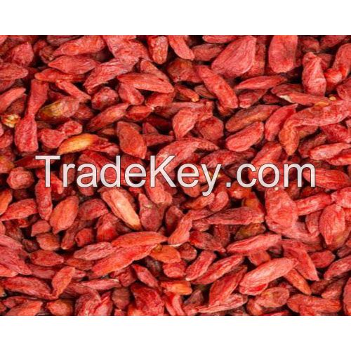 Goji berry/ Organic goji berry, free samples goji berry, dried goji berries