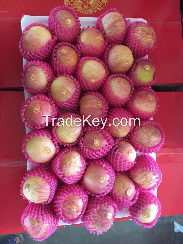 cheap South African fresh Fuji apples