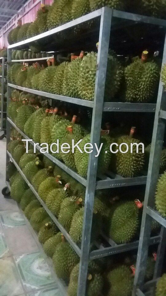 Exporting A Huge Fresh Durians - Competitive Price for exporting 2018