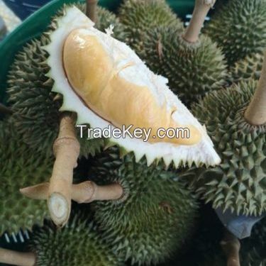 HIGH QUALITY Fresh Durian