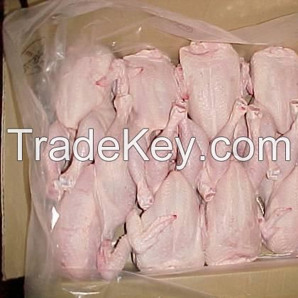 Halal Whole Frozen Chicken/ Frozen Chicken Feet...