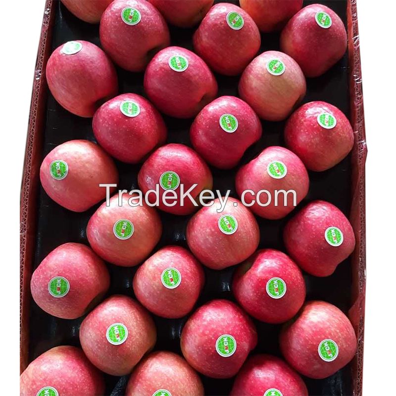 Fuji apple exporter in South Africa
