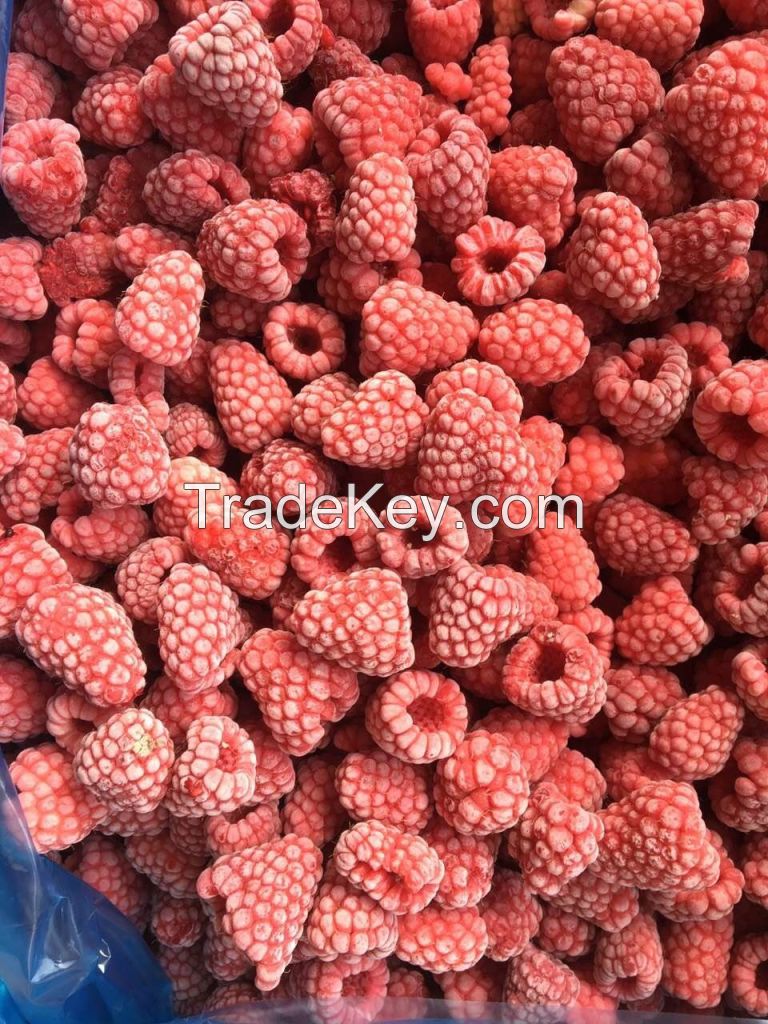New season crop high quality frozen IQF raspberry crumble fruit