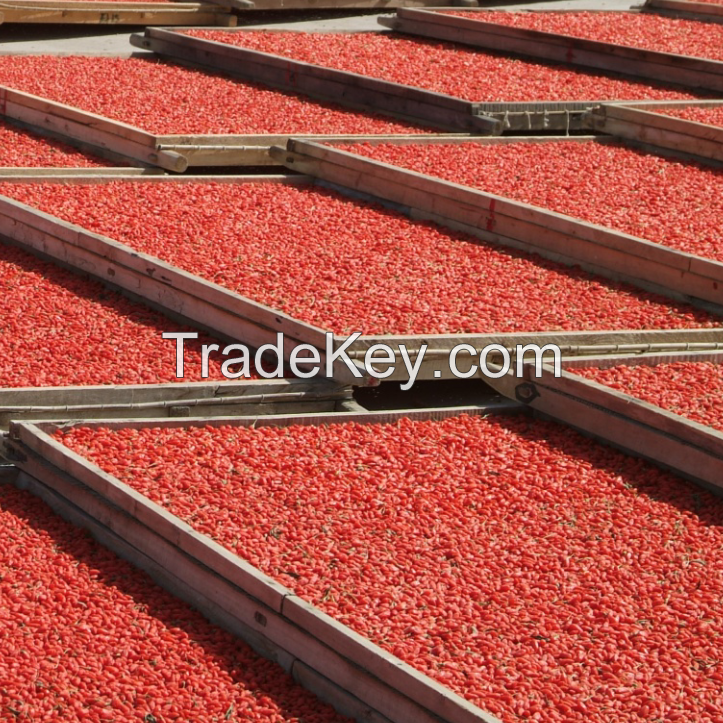 Certified Organic Bulk Wholesale Dried Red Goji Berries