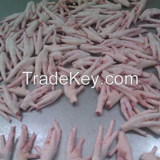 Halal Grade A Chicken Feet / Frozen Chicken Paws/CHicken Wings Ready to Export