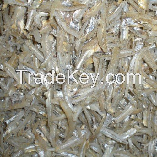 Fresh Dried Frozen Black Tiger Shrimps Vannamei Shrimp White Shrimps