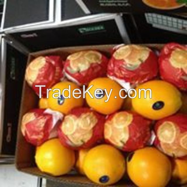 Quality Fresh Valencia Oranges for Sale