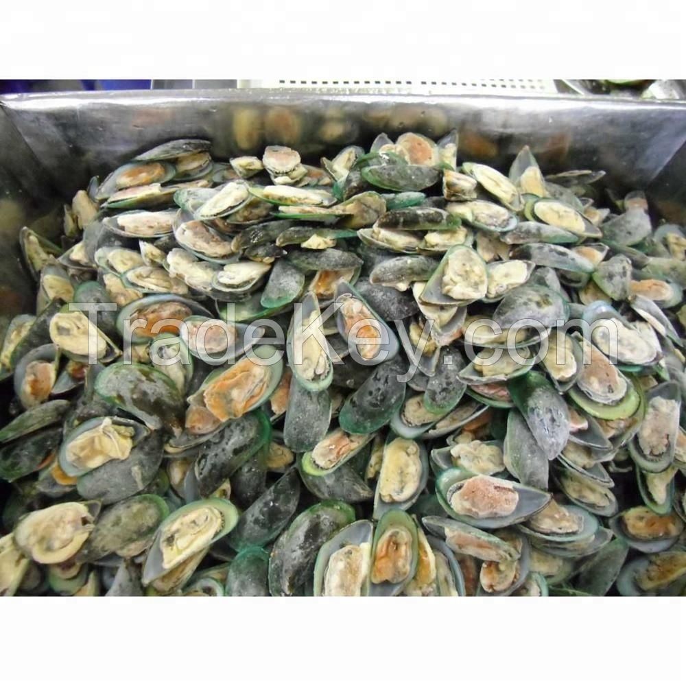 Good Sale Shellfish Frozen Half Shell Green Mussel