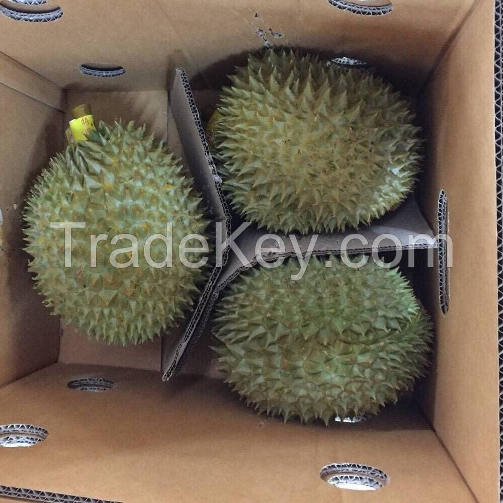 Fresh Durian Fruit From South Africa