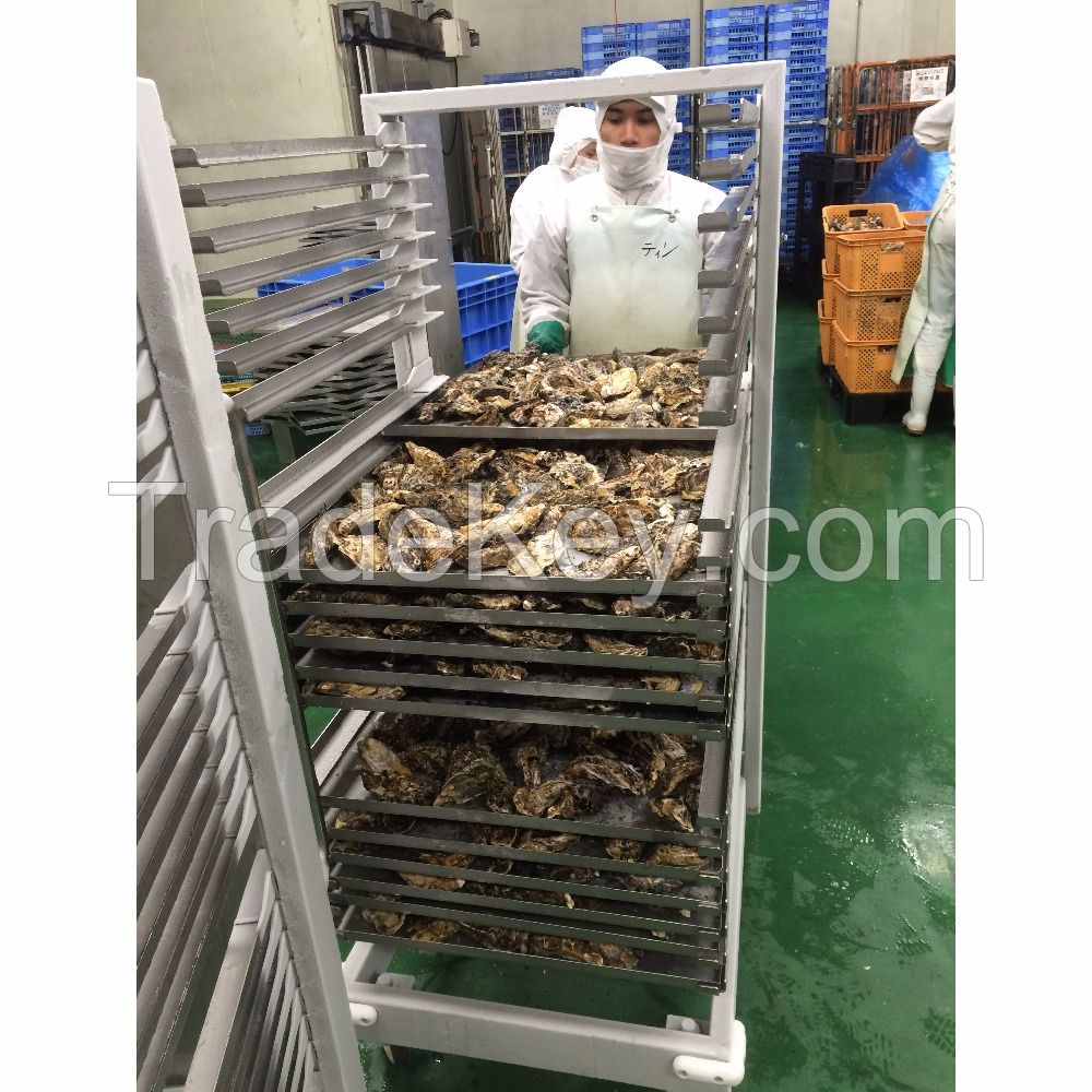 good quality seafood company, wholesale seafood prices, seafood export oyster