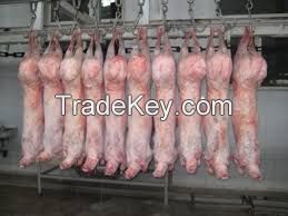 Frozen Halal Goat Carcass