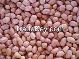 Vietnam High Quality peanuts with best price