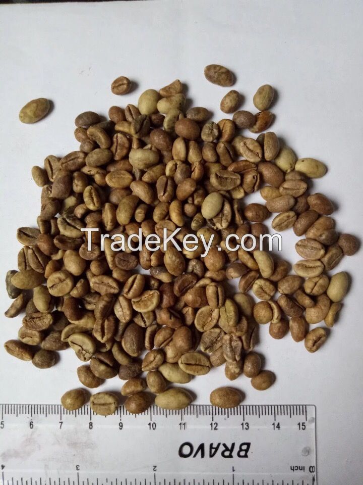 Best Green Robusta Coffee beans from DR Congo