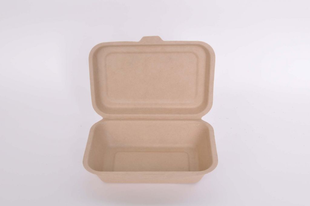 Disposable environmental Dinner ware