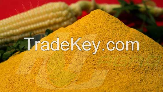 High quality corn gluten meal for feed additives CAS 66071-96-3