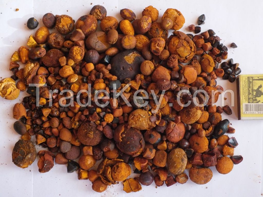 Ox Gallstone