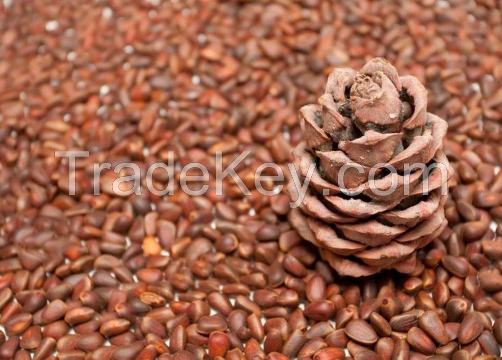 Pine nuts