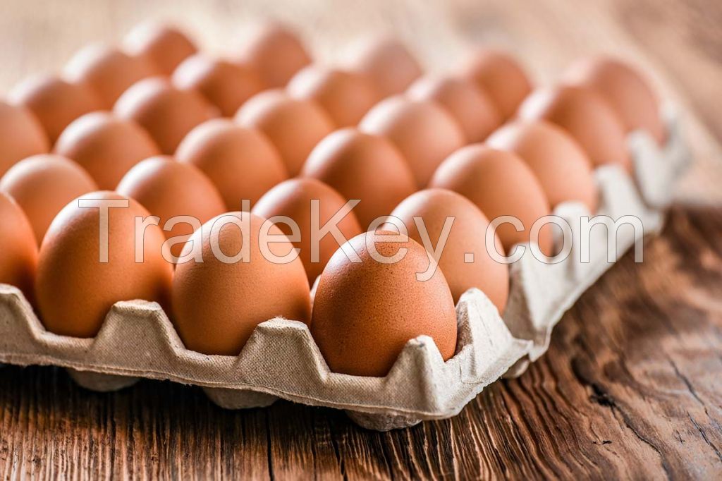 Table eggs