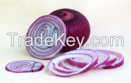 Super Quality Fresh Onion