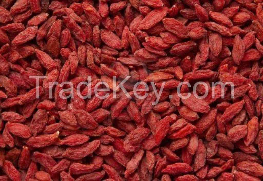 Goji Berry