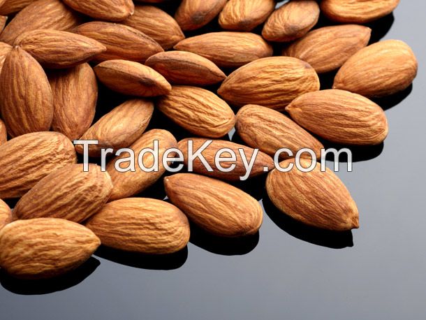 Quality Control SGS Inspected Almond Nuts In Kernels, Bitter Almond/ Raw Almond Kernel