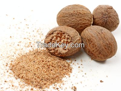 EXPORTING DRIED BETEL NUT FOR THE BEST PRICE