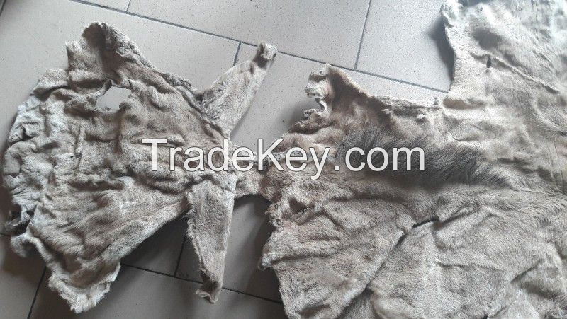 High Quality Dry And Wet Salted Donkey/Wet Salted Cow Hides /Cow Head Skin