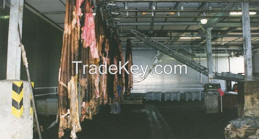 Sell wet salted cattle hides