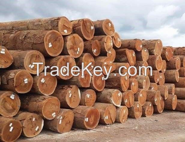 High Quality Mahogany Tree, Bete, Eben, Cam RosaTimber Log And Lumber