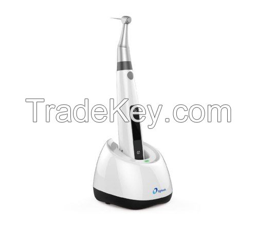 Dent Geosoft Endo Motor Cordless ENDO Motor Mini - B