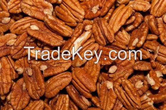 Pecan Nuts